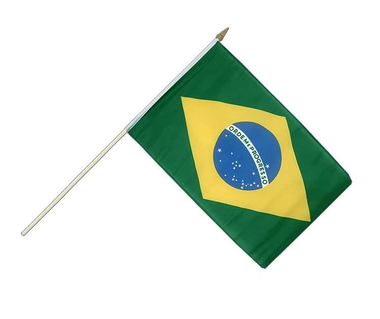 World Cup Hand Waving Flag