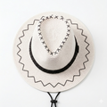 Cowboy Fedora Hat