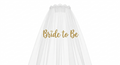 Bride to Be Veil – Gold Glitter Text & Comb