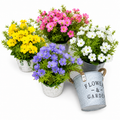 Colorful artificial flowers in small buckets