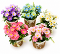 Colorful flower arrangement pot