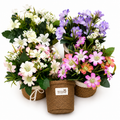 Artificial Mixed Daisy Bouquet in Woven Basket