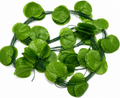 Ficus Oval Leaf Branch – Artificial Green Bush