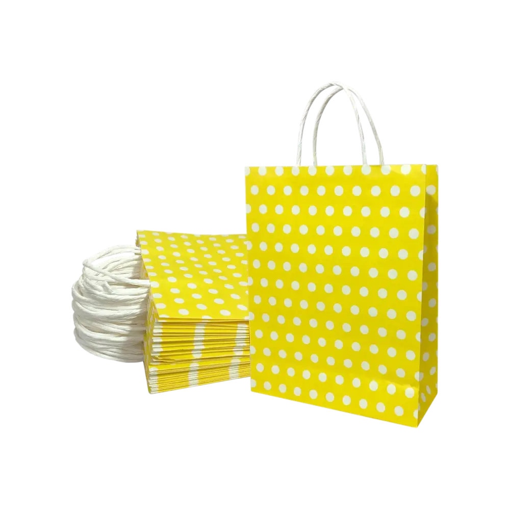 Polka Dot Party Paper Gift Bag